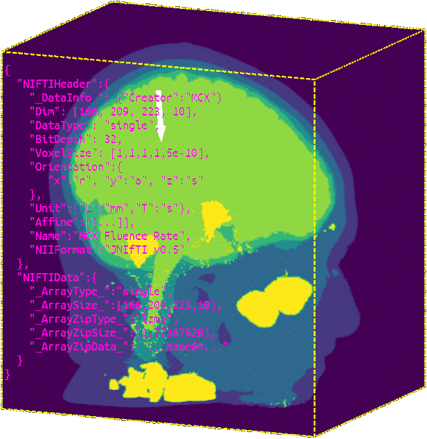 Rendering JNIfTI in WebGL