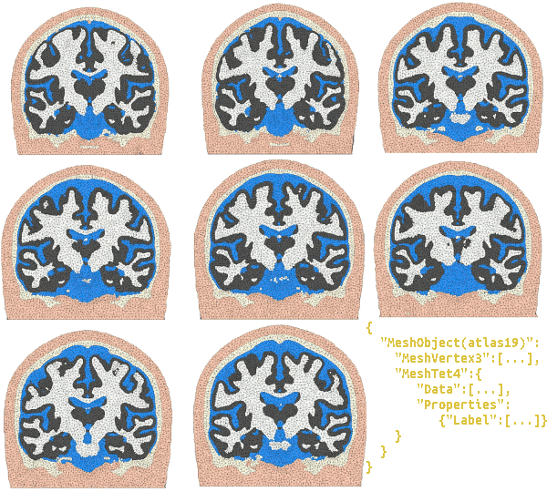 Brain Mesh Library