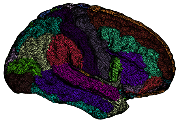 Brain Parcellation